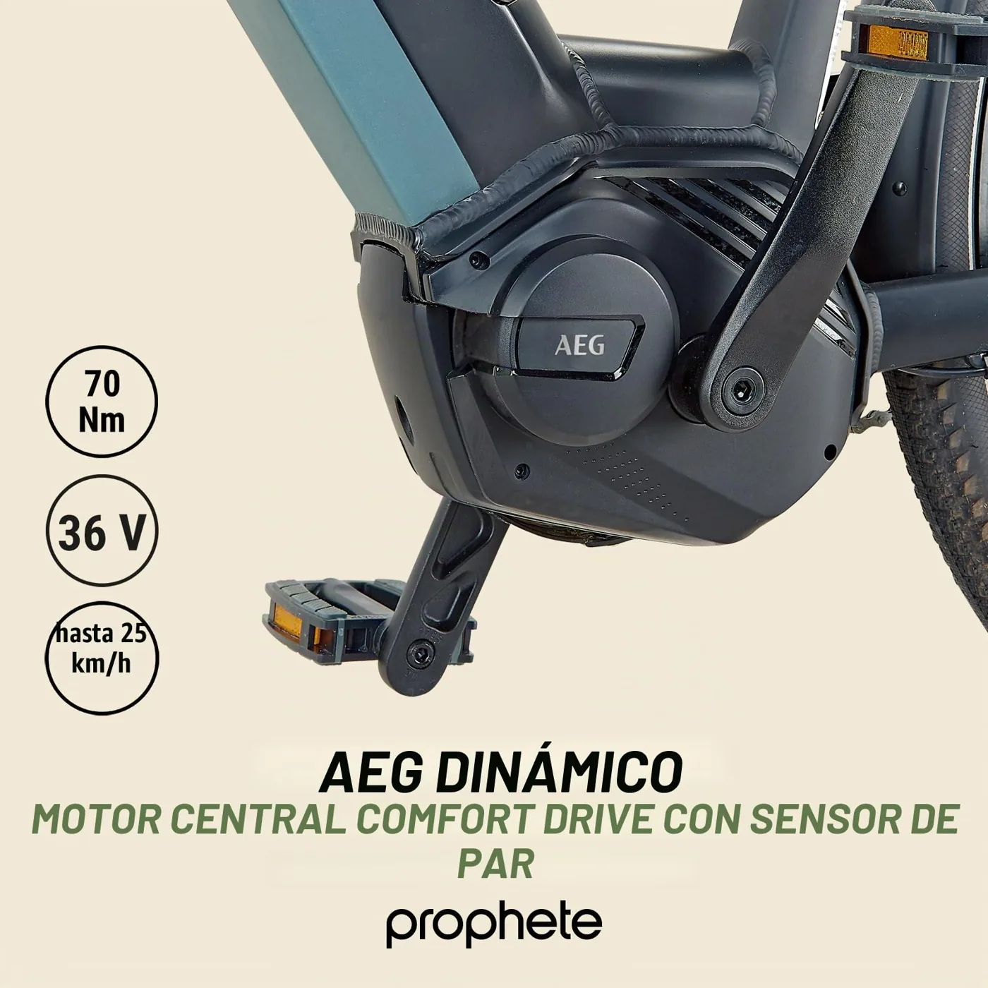 Prophete Geniesser 4.0 City — foto 4